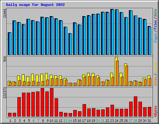 Daily usage for August 2022