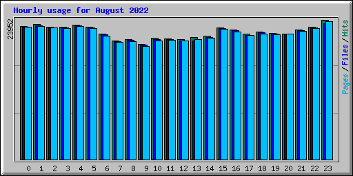 Hourly usage for August 2022